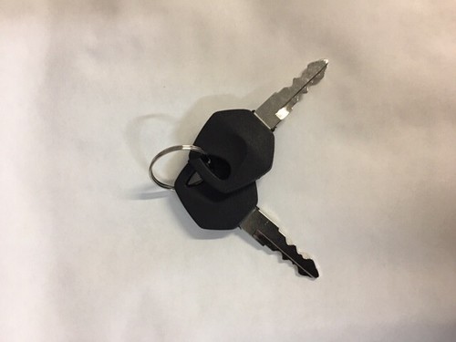 Replacement keys for - keys, kids